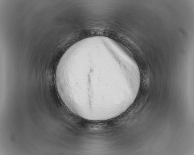 X0000113020661200909241636