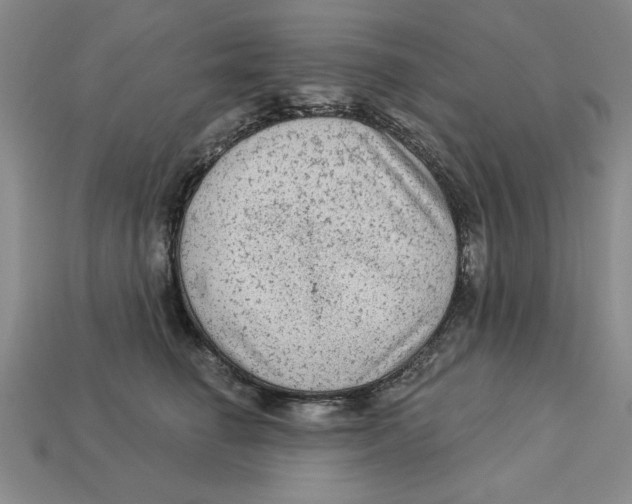 X0000113020662200909241636