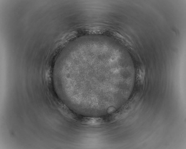 X0000113020663200909241636