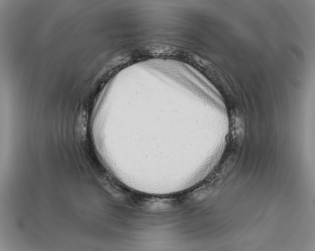 X0000113020664200909241636