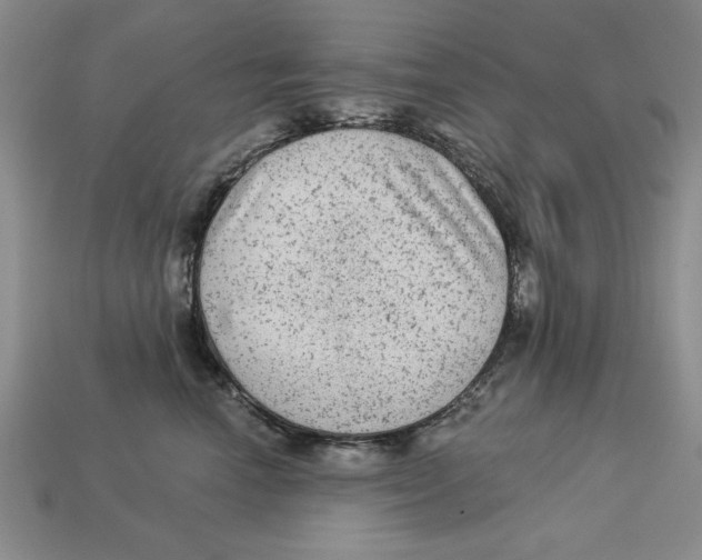 X0000113020666200909241636