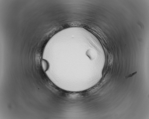 X0000113020669200909241636