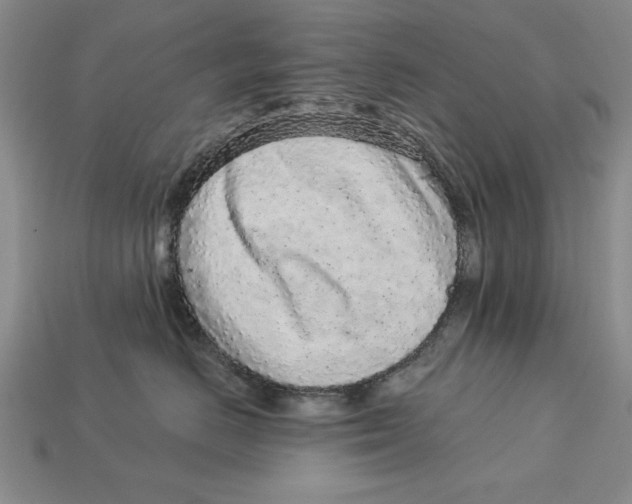 X0000113020670200909241636