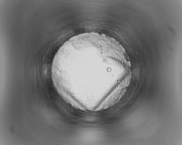 X0000113020671200909241636