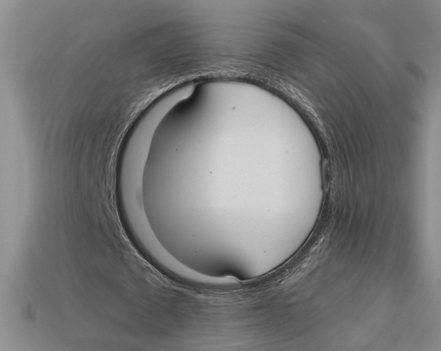 X0000113020673200909241635