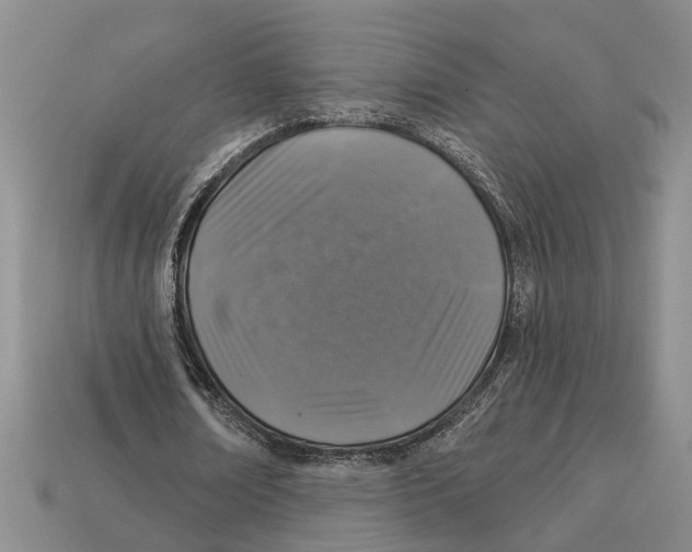 X0000113020674200909241635