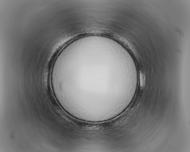 X0000113020675200909241635