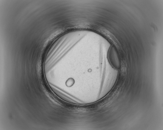 X0000113020677200909241635