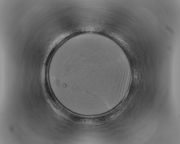 X0000113020678200909241635