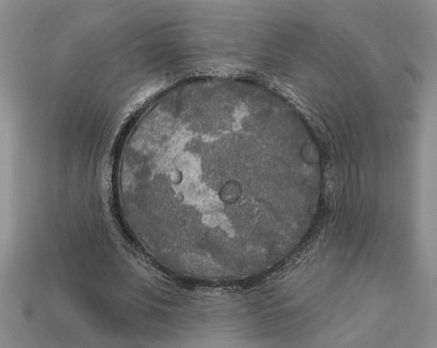 X0000113020679200909241635