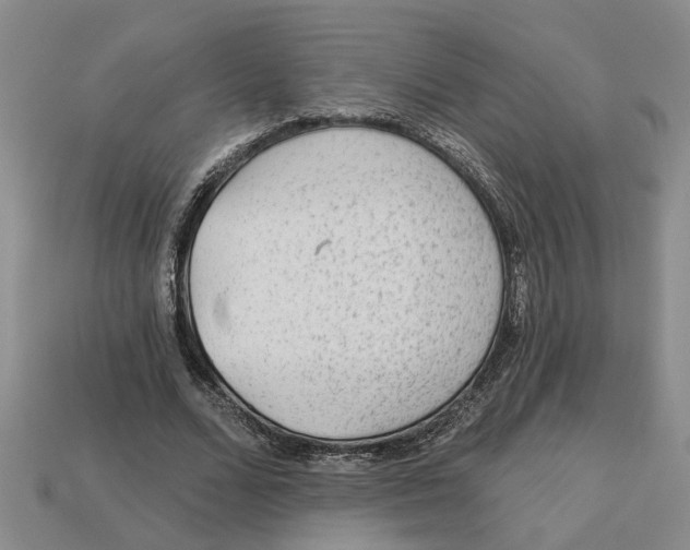 X0000113020680200909241635