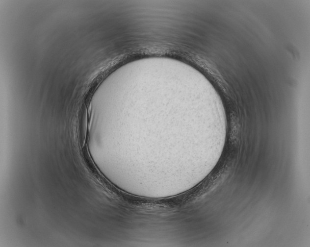 X0000113020681200909241635