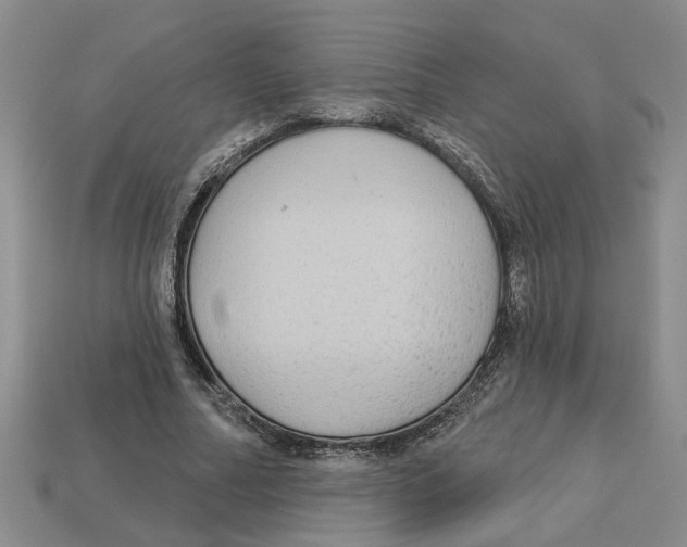 X0000113020682200909241635