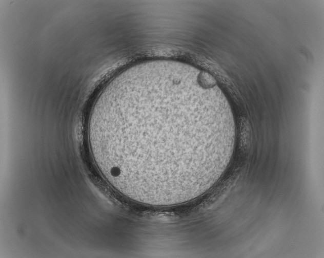 X0000113020683200909241635