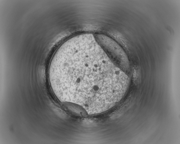 X0000113020684200909241635