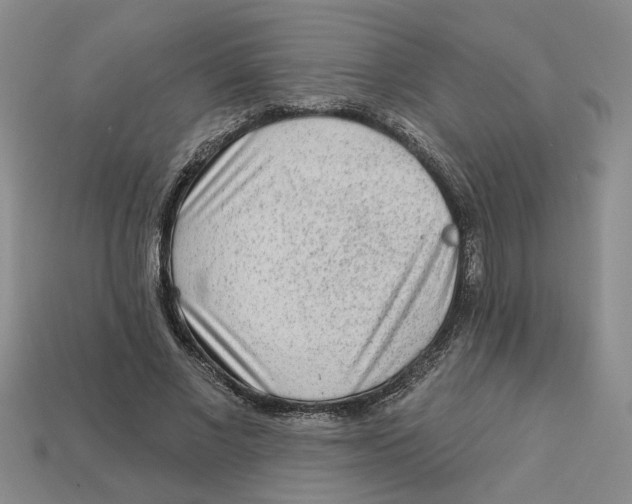 X0000113020685200909241635