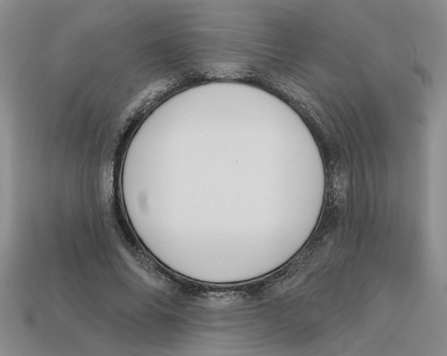 X0000113020686200909241635