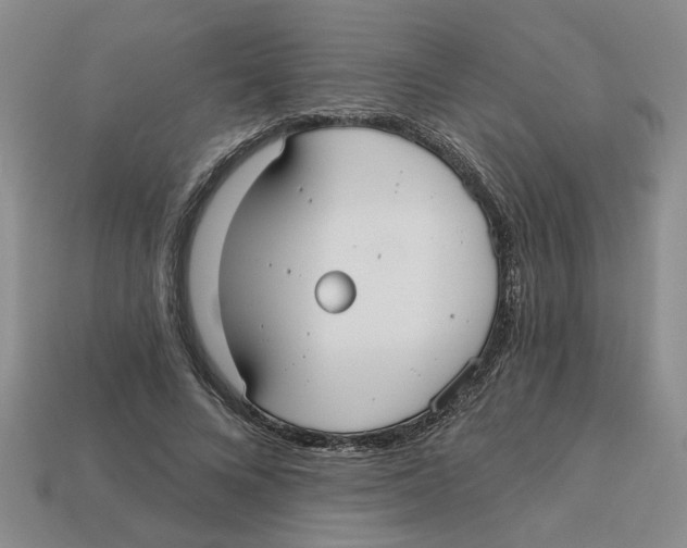 X0000113020688200909241635