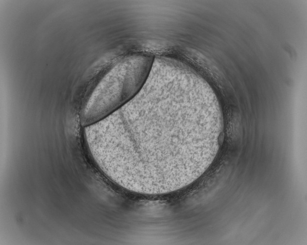 X0000113020689200909241635