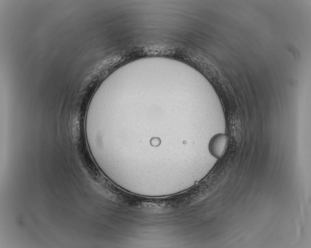 X0000113020690200909241635