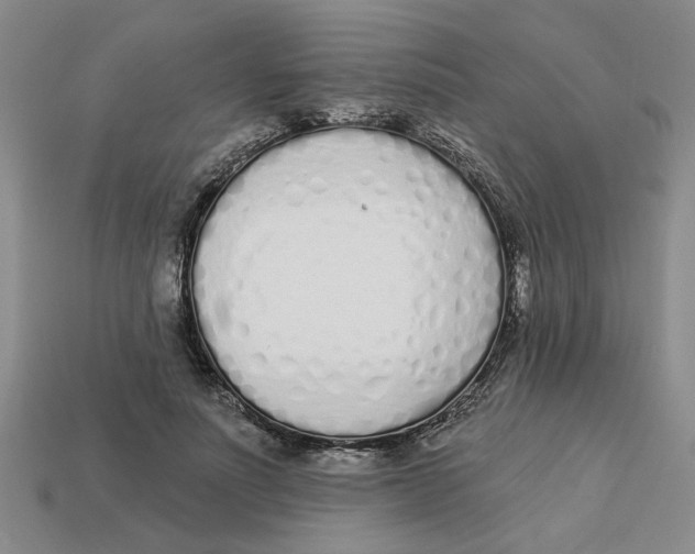 X0000113020691200909241635