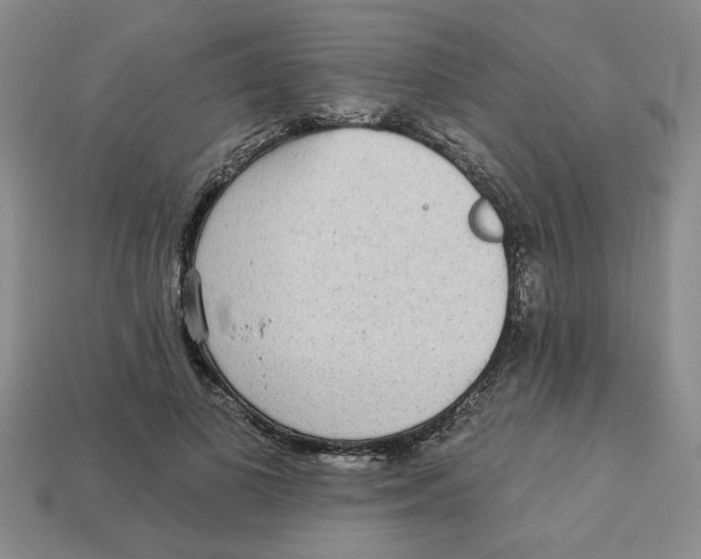 X0000113020693200909241635