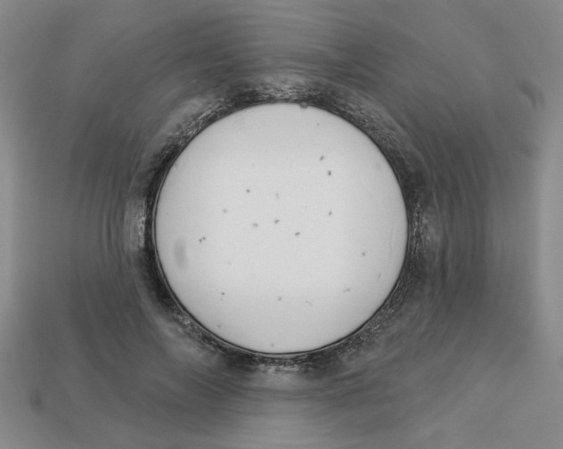 X0000113020694200909241635