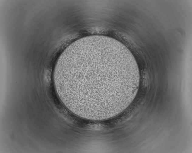 X0000113020695200909241635