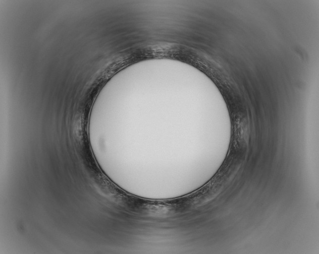 X0000113020698200909241635