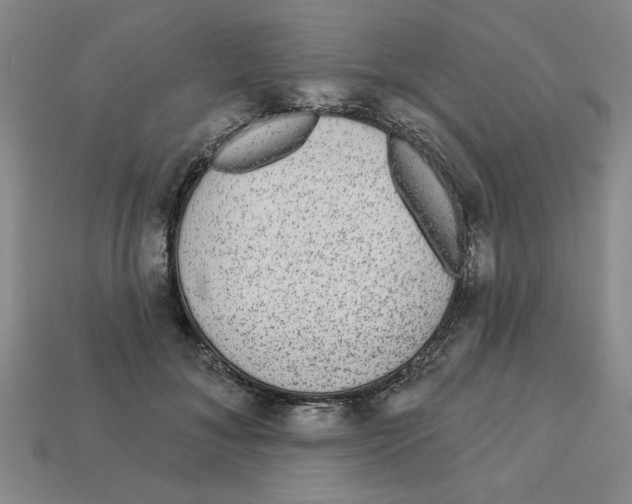 X0000113020700200909241635