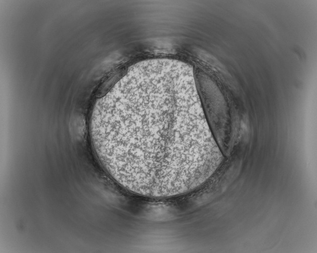 X0000113020704200909241635