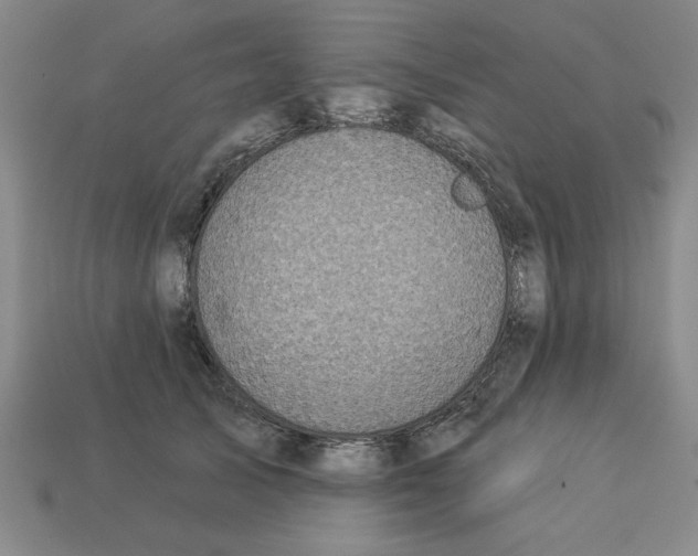 X0000113020705200909241635