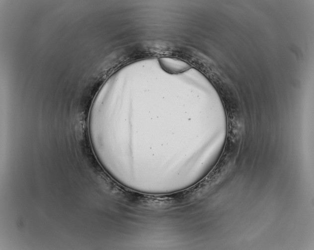 X0000113020707200909241635