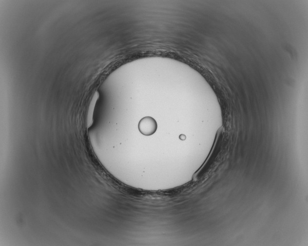 X0000113020708200909241635