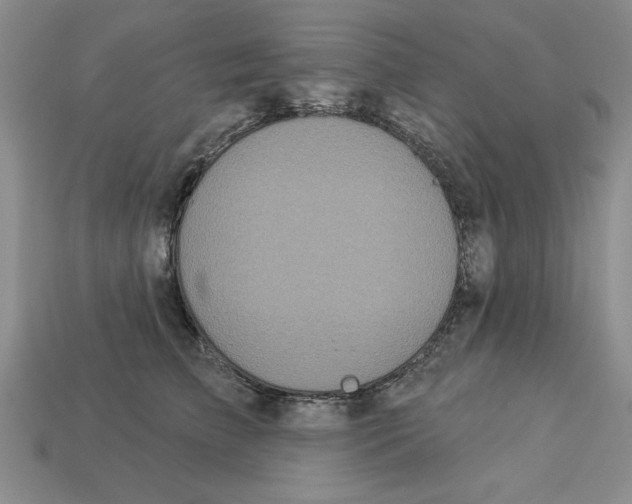 X0000113020709200909241635