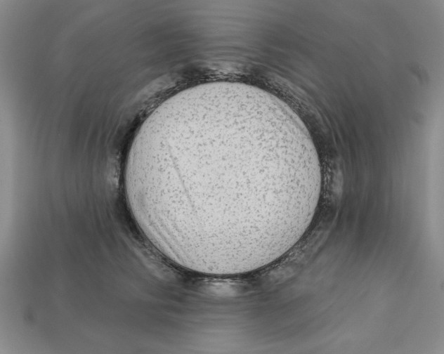 X0000113020710200909241635