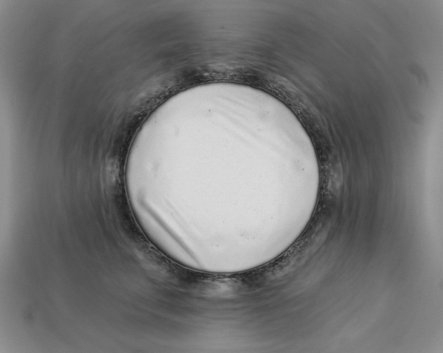 X0000113020711200909241635