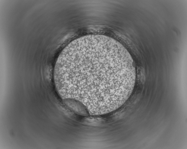 X0000113020712200909241635