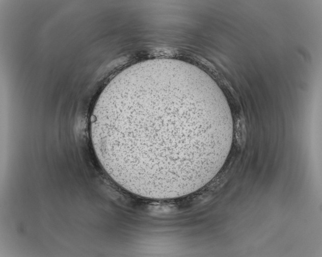 X0000113020714200909241635