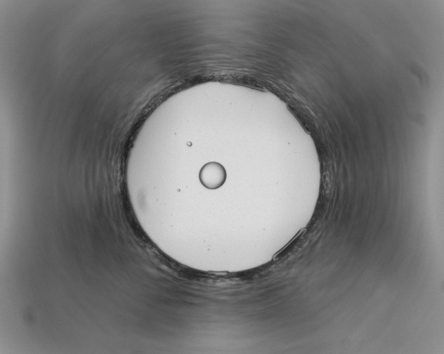 X0000113020716200909241635