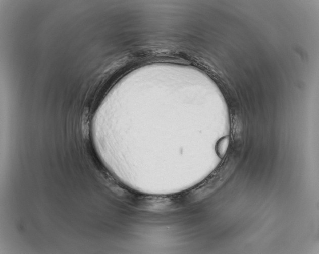 X0000113020719200909241635