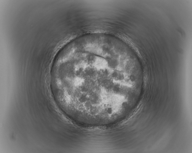 X0000113020721200909241634