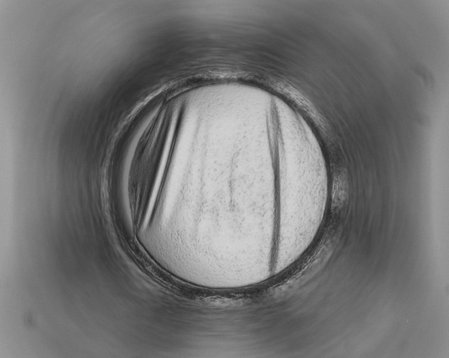 X0000113020722200909241634