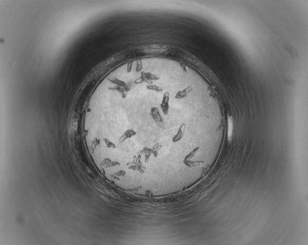 X0000113020723200909241634