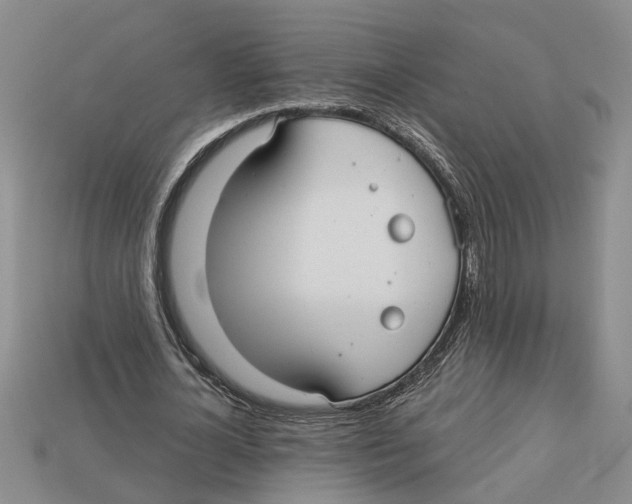 X0000113020724200909241634