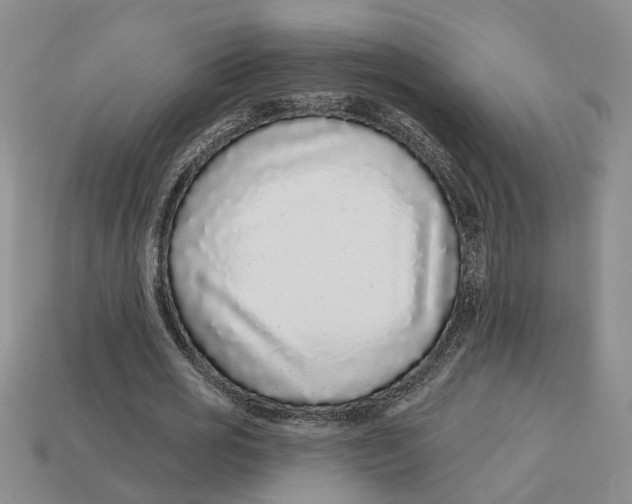 X0000113020725200909241634