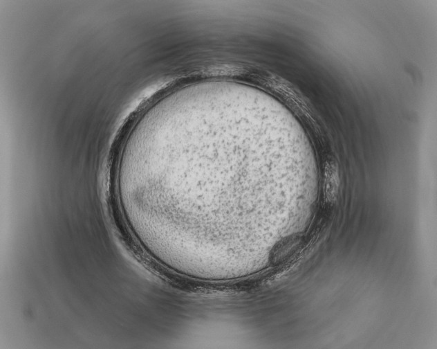 X0000113020726200909241634