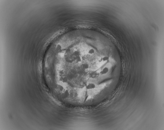 X0000113020729200909241634