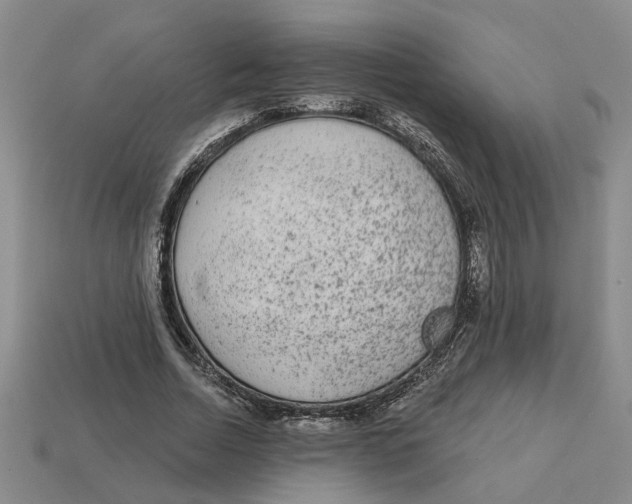 X0000113020730200909241634