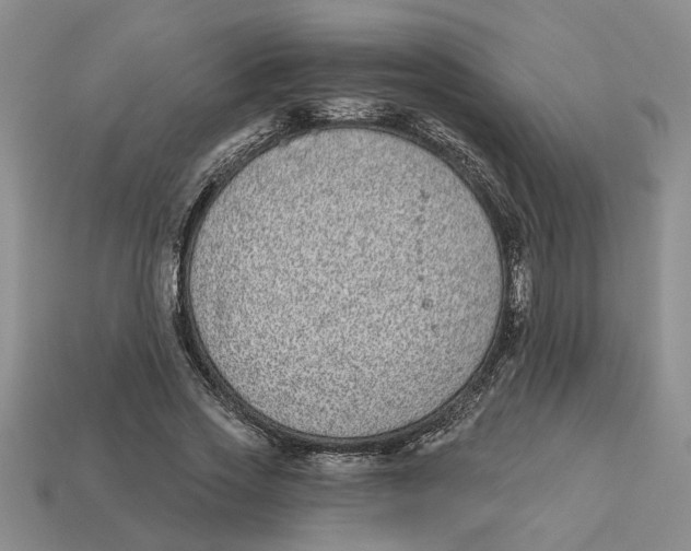 X0000113020733200909241634